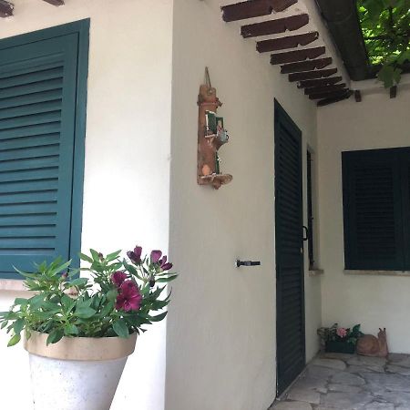 B&B Uva Fragola Perugia Ngoại thất bức ảnh