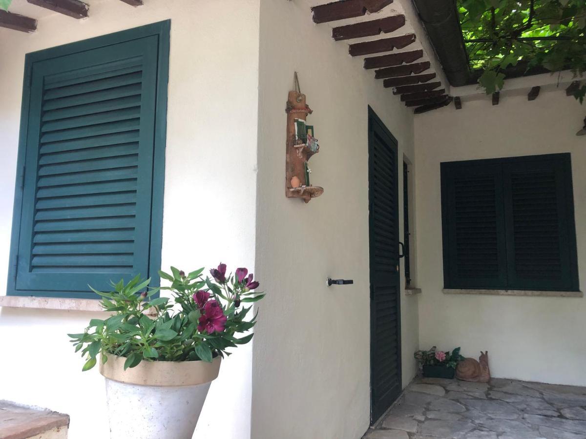 B&B Uva Fragola Perugia Ngoại thất bức ảnh