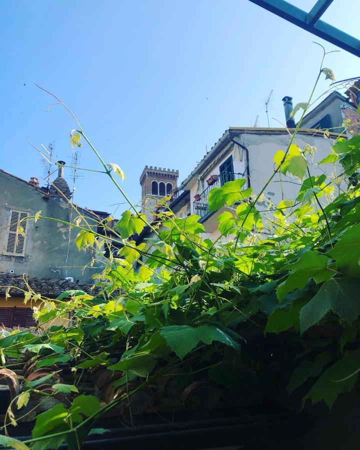 B&B Uva Fragola Perugia Ngoại thất bức ảnh